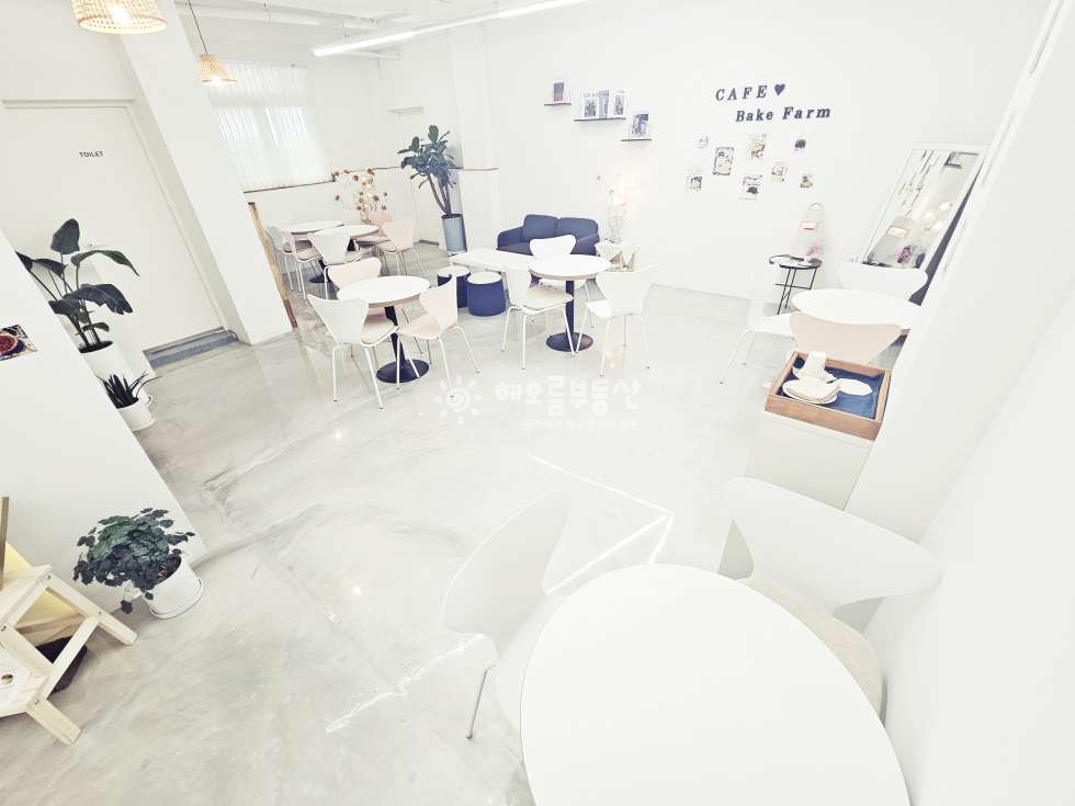 강원 원주시 판부면 서곡리 ,매봉마을 대로변 인테리어 잘 된 카페 상가임대 월세 매물번호 14465 사진 2
