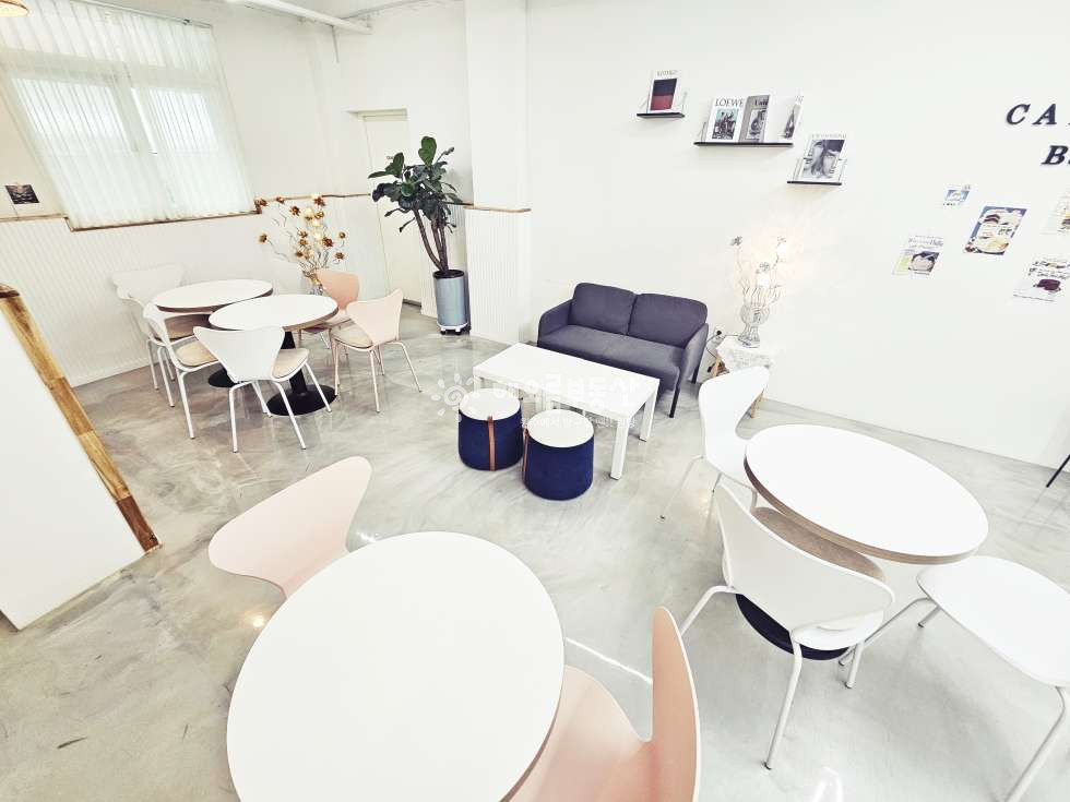 강원 원주시 판부면 서곡리 ,매봉마을 대로변 인테리어 잘 된 카페 상가임대 월세 매물번호 14465 사진 3