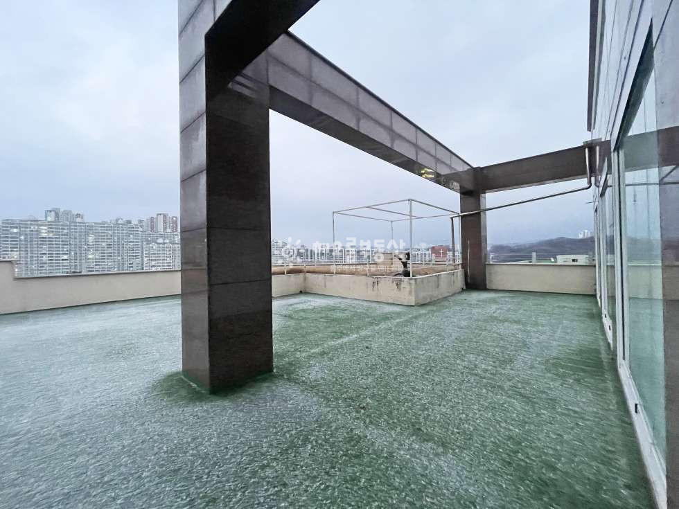 강원 원주시 단계동 1115-3 (성우프라자) 노출 굿 l 백간공원사거리 6층 단독사용 무권리 상가 [단계동상가] 월세 매물번호 16224 사진 11