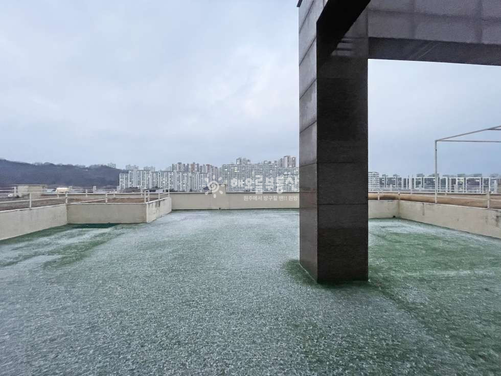 강원 원주시 단계동 1115-3 (성우프라자) 노출 굿 l 백간공원사거리 6층 단독사용 무권리 상가 [단계동상가] 월세 매물번호 16224 사진 12