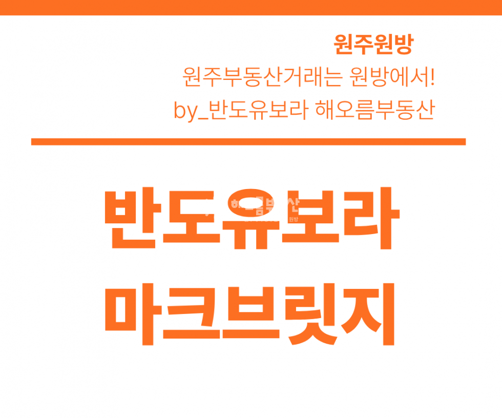 강원 원주시 관설동 1805 103동 41평 l 전면동 치악산뷰 l 풀옵션 l 가격조정 가능 매매 매물번호 17275 사진 1
