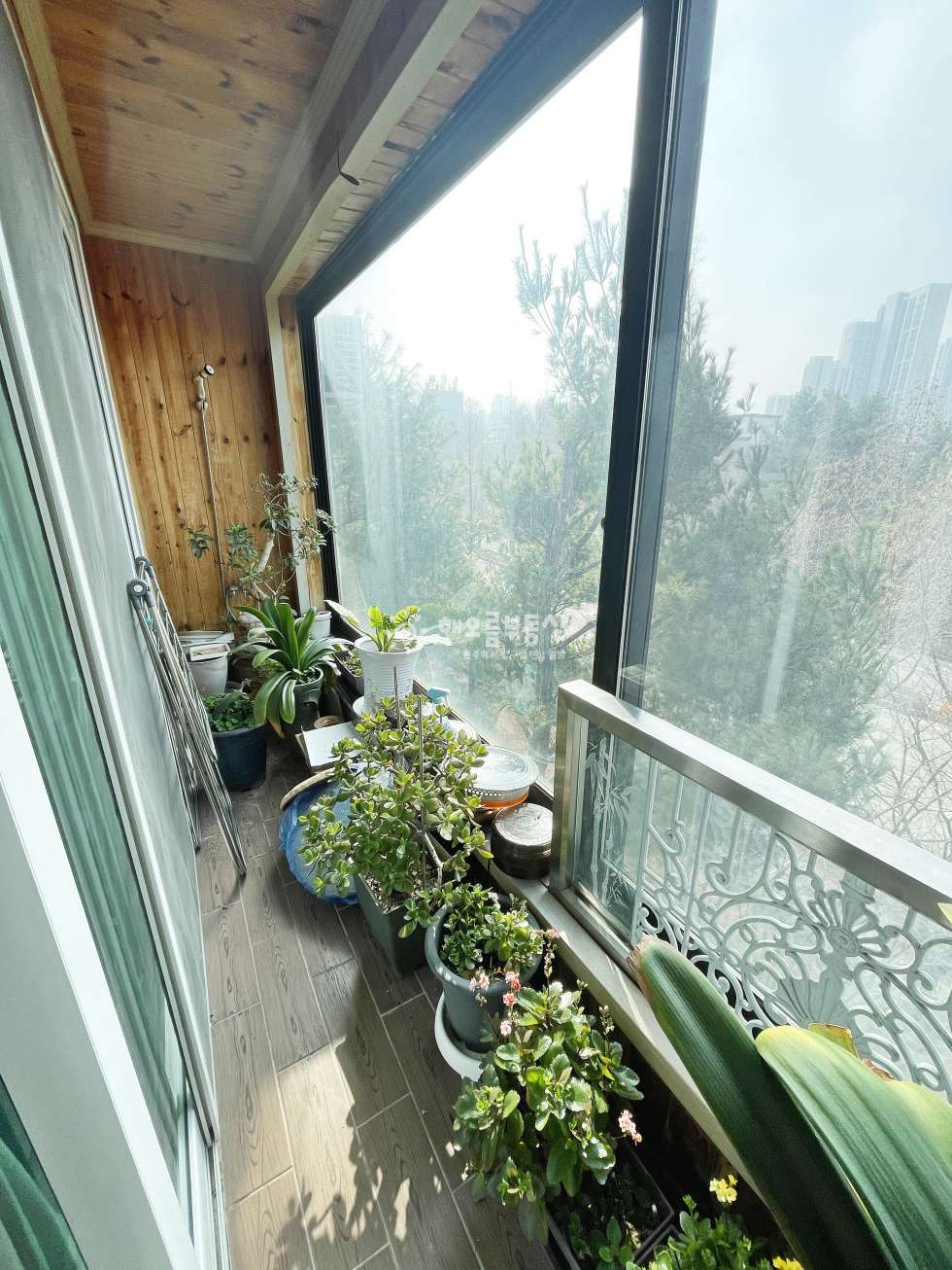 강원 원주시 단구동 1552-5 단구동 주인세대 전세! 방3 + 옥상 사용 가능한 넓은 집 전세 매물번호 16648 사진 9