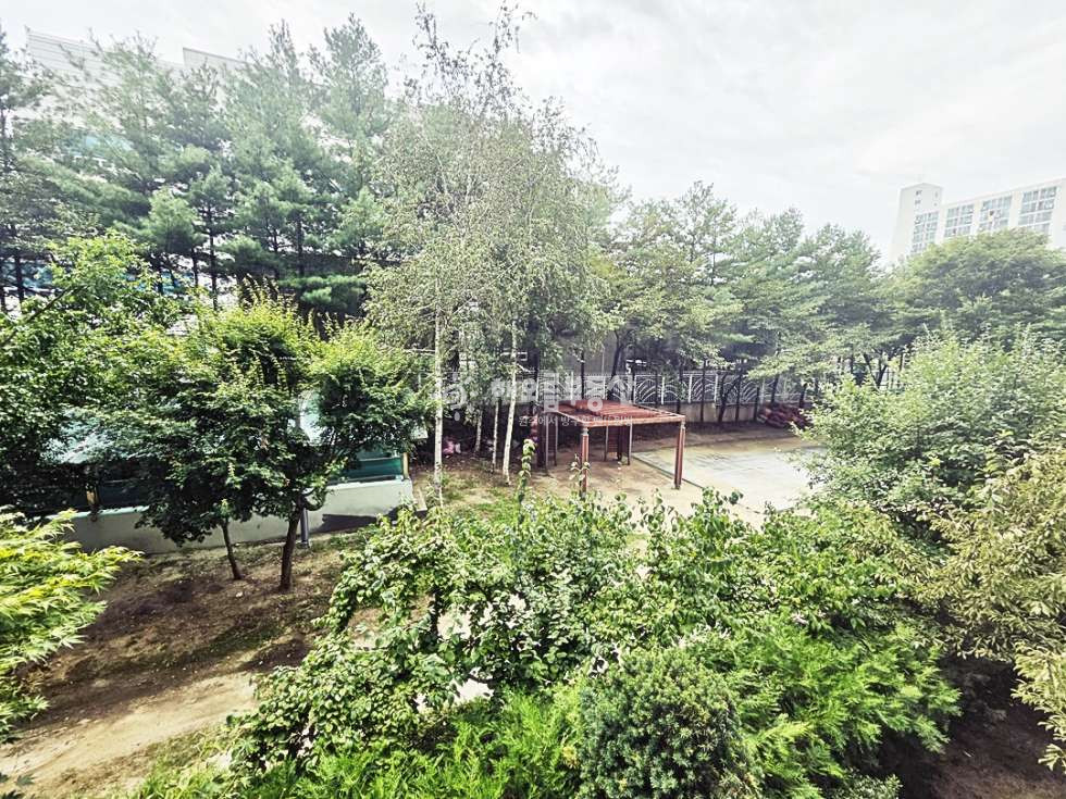 강원 원주시 단구동 1682-1 501동 현진5차 501동! 생활권 최고 · 햇살 좋은 앞동 추천매물 매매 매물번호 16978 사진 22