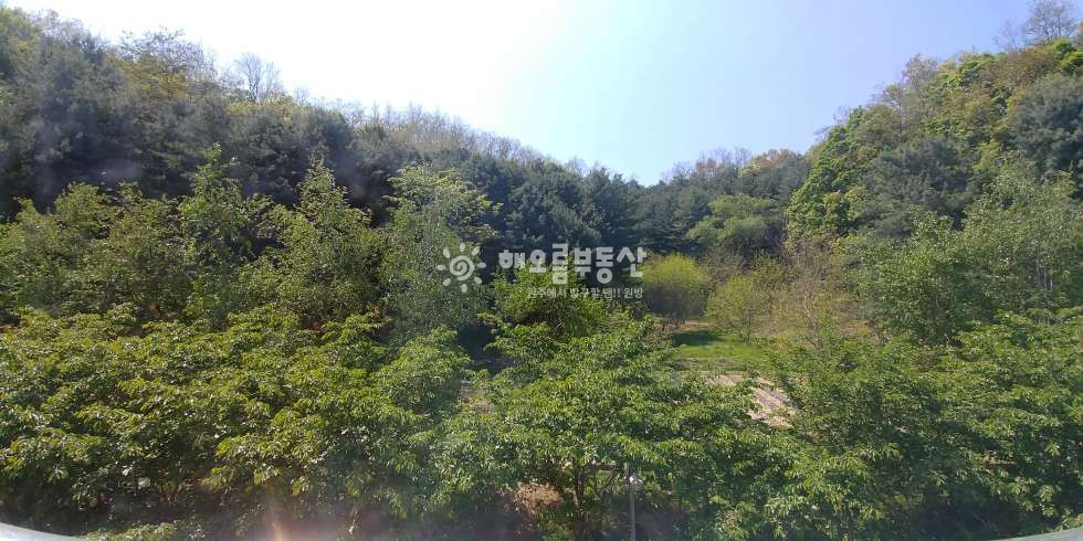 강원 원주시 단구동 1581-6 단기가능 . 가스렌지교체 . 전자렌지교체 . 분리형원룸 . 주차편리 월세 매물번호 17028 사진 8