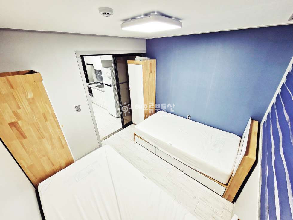 강원 원주시 부론면 노림리 17-5 2027년 l 경동대정문 밥심마을 l 학교와 가장가까운 세련된 2인실 연세 매물번호 17426 사진 5